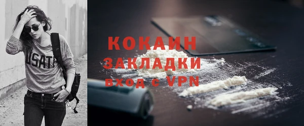 PSILOCYBIN Богородицк
