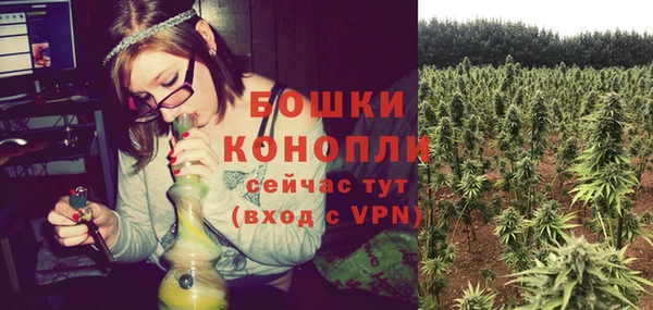 PSILOCYBIN Богородицк