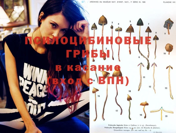 mix Бородино