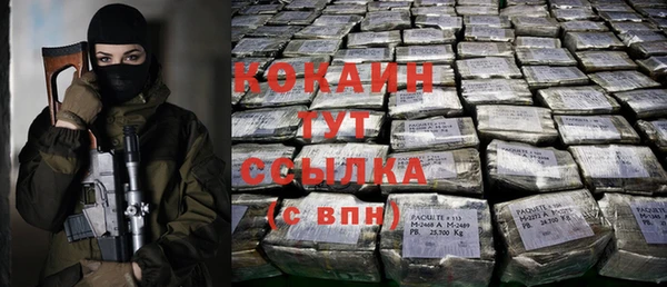 бошки Богданович