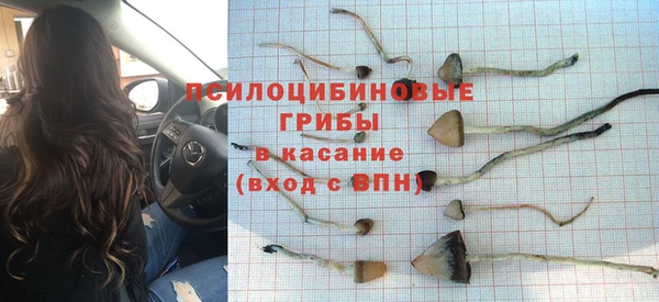 mix Бородино